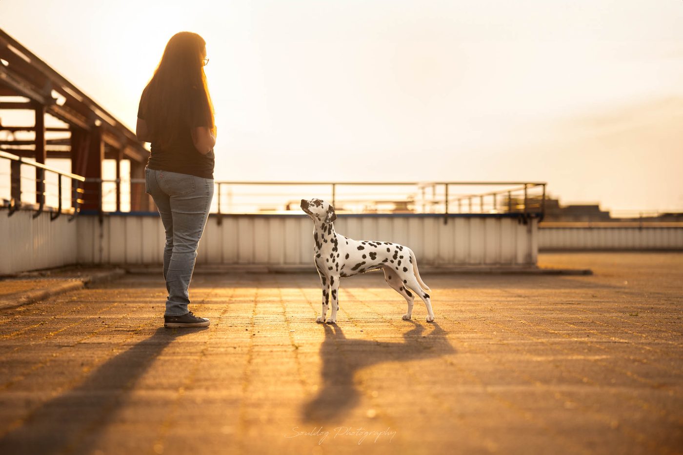 Sabrina und Dalmatinerhündin Zuki im Abendlicht auf einer Dachterrasse